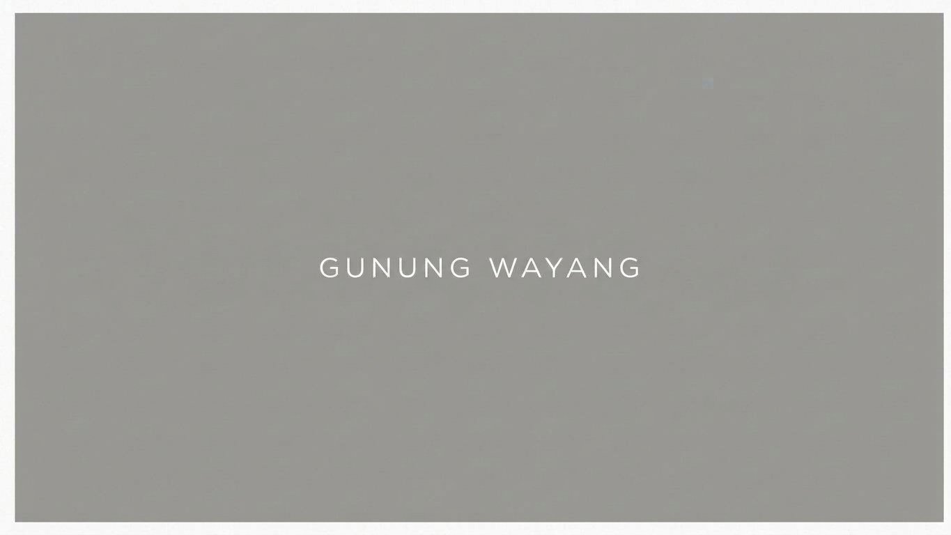 Biji kopi Gunung Wayang Hydro Anaerobic Natural